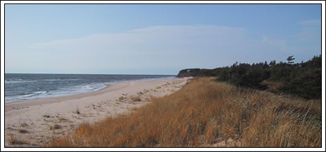 Fantastic PEI beaches within steps of the house